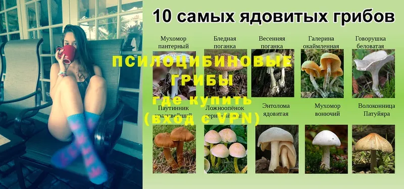 Псилоцибиновые грибы Psilocybine cubensis  как найти закладки  Улан-Удэ 